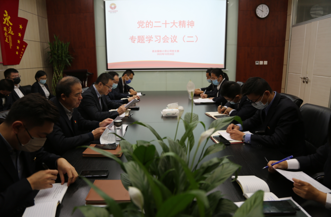 國信小貸黨支部召開黨的二十大精神專題學(xué)習(xí)會議(二)